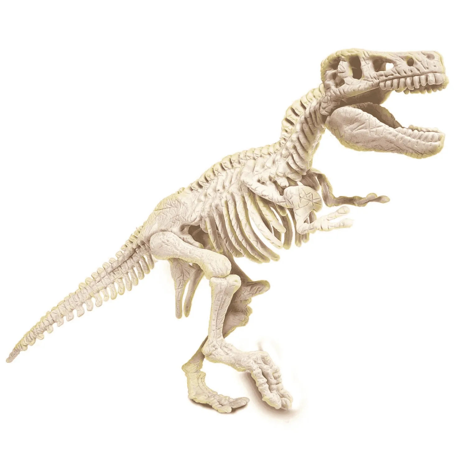 Clementoni Arqueojugando T-Rex fosforescente