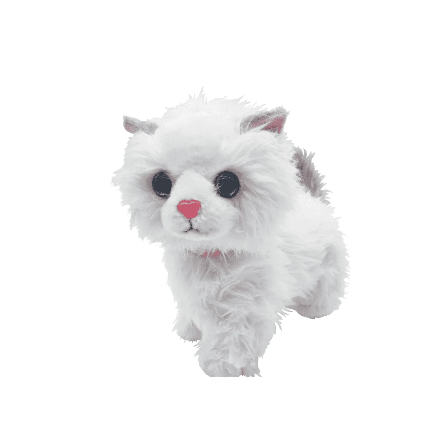 Gatito Paseos Planet Pets