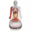 Mi Cuerpo Vozpedia 3D anatómico interactivo