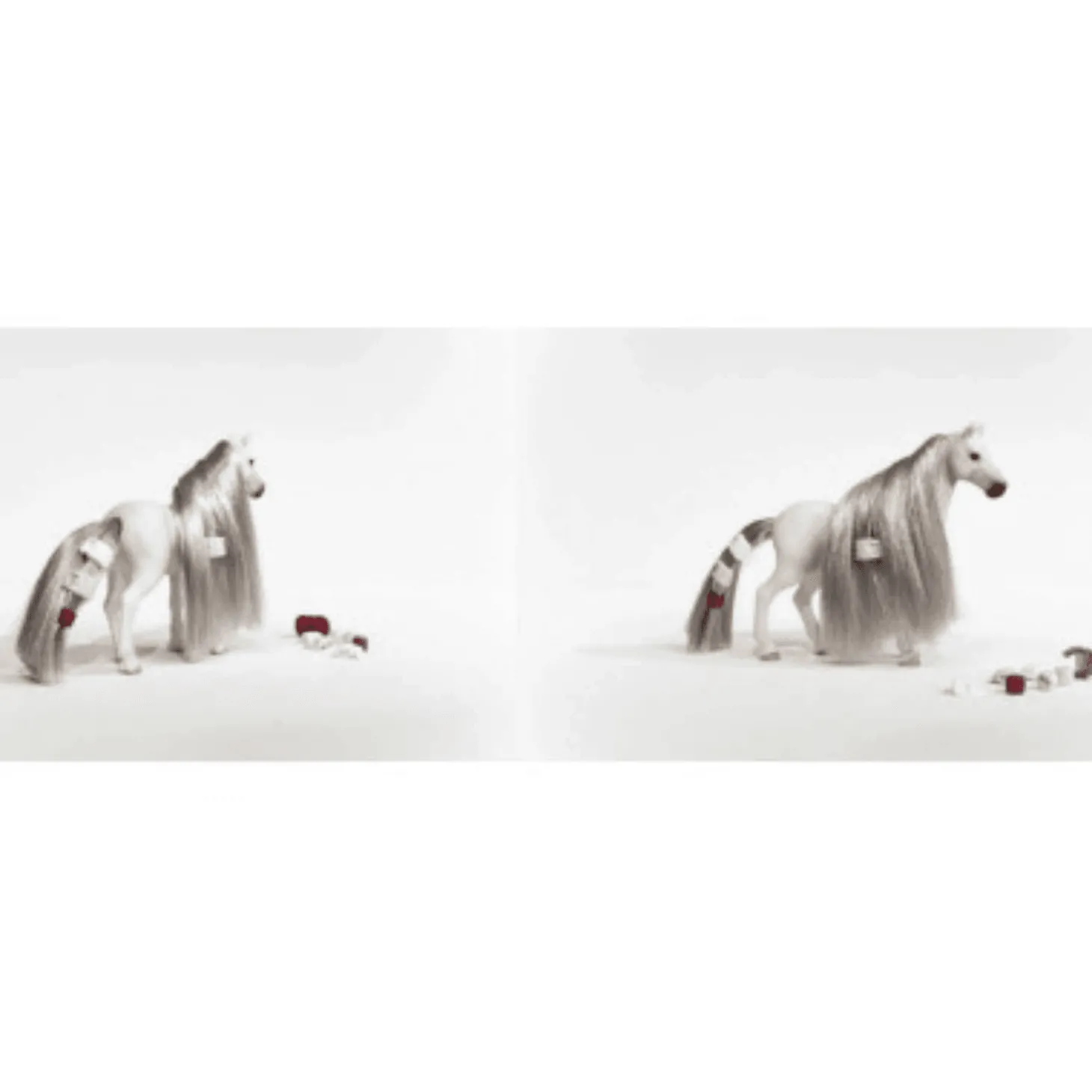 Yegua Horse Quarter Horse, Set de Belleza